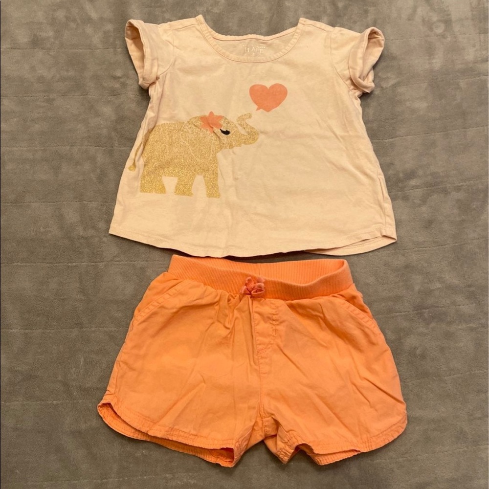 Children's Place Girls 2 piece set Size 4T